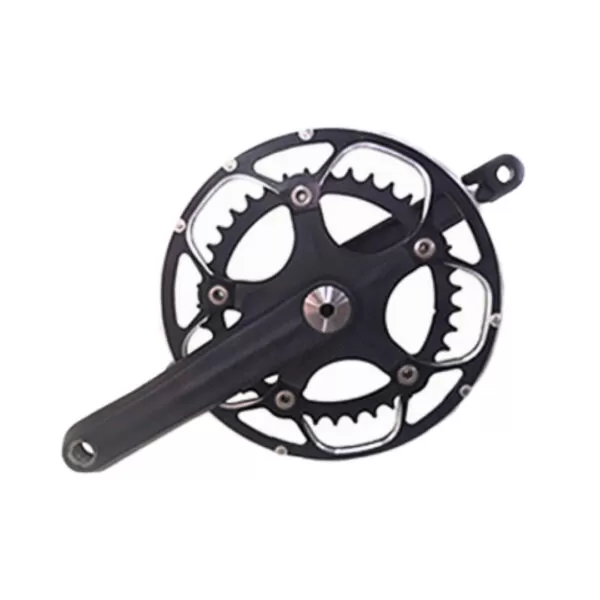 Carbon fiber bicycle integral chainring